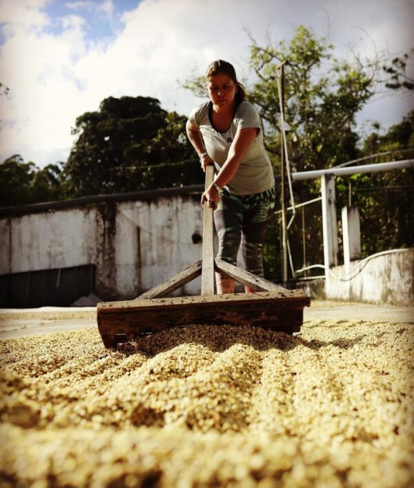women producer women roaster