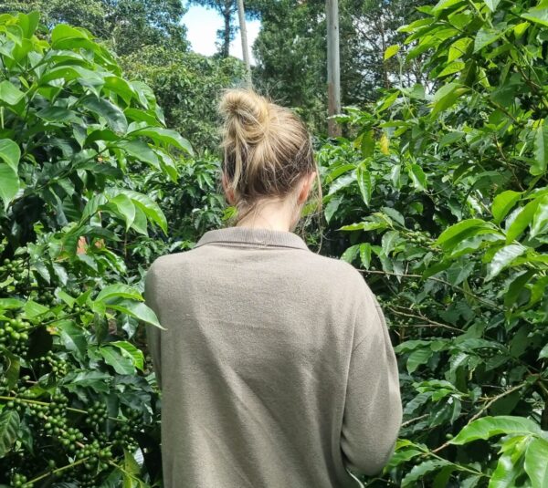 visit to a coffee farm Peru