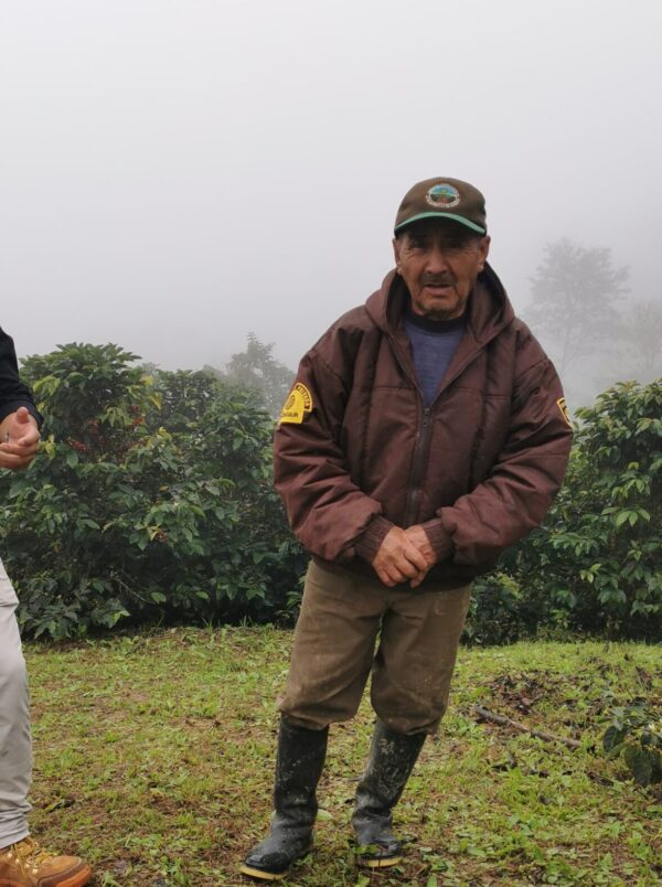Coffee producer Peru specialty coffee